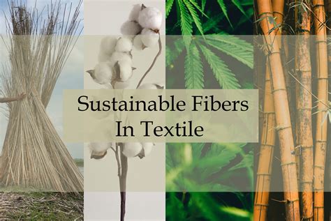  ¡Bast Fiber: El Material Textil que Redefine la Sostenibilidad!